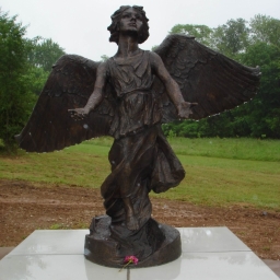 angelphoto2